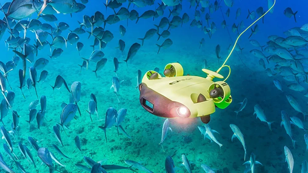 Land and Sea Drone Engineers